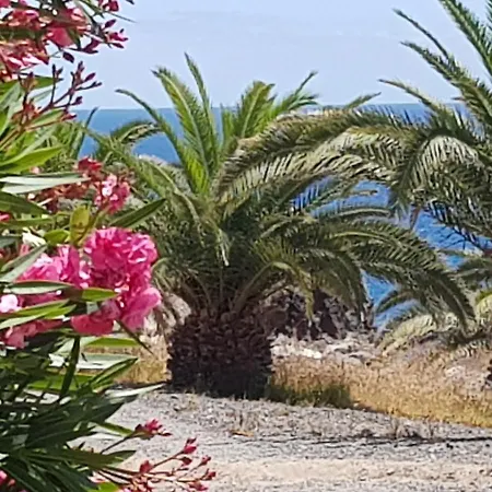 Ocean View Close To With Pool & Wifi דירה קיאו סלבאחה